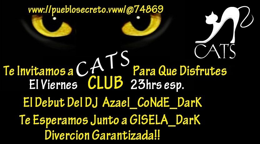  photo CATS__zpscf04fb87.jpg