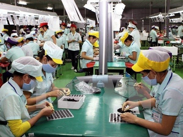 ILO pledges to support Vietnam in TPP