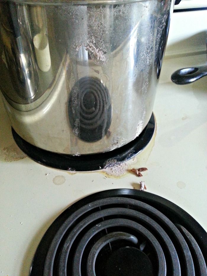 Bean Boil Over