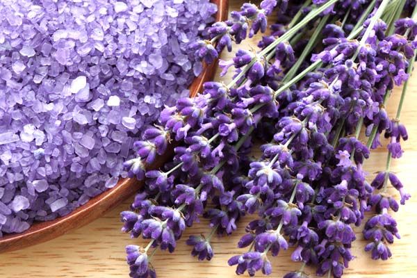  photo lavender-pengharum-ruangan_zpsuaiikqfg.jpg