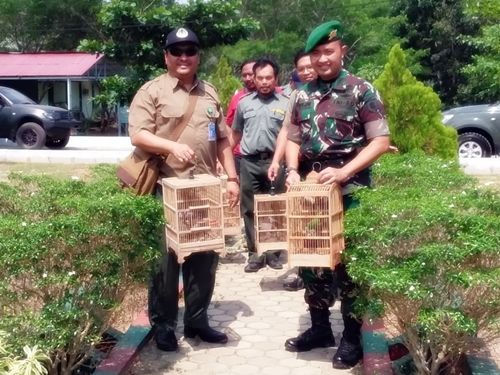  photo Cucak Hijau Murai Batu dan Perkutut dilepas-liarkan di Yonif 623 01_zpstk1chndj.jpeg