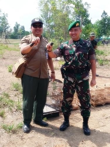  photo Cucak Hijau Murai Batu dan Perkutut dilepas-liarkan di Yonif 623 02_zps2zrwapfy.jpeg