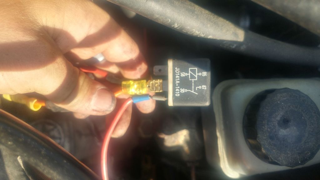 VWVortex.com - 81 rabbit wiring.