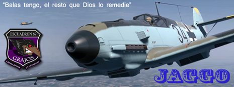 Imagen enviada