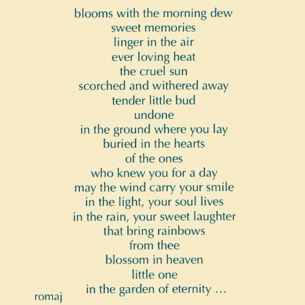  photo image_zpscz4vei5y.jpg