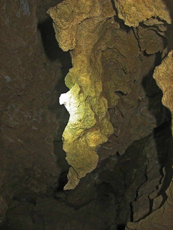 photo 10_zpszsnqlimz.jpg