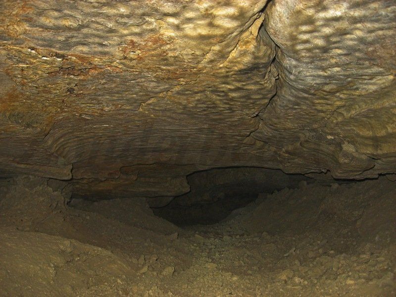 photo 12_zps8wgmtkux.jpg