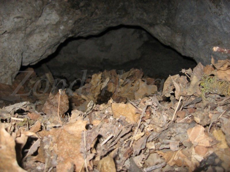 photo watermarked - 14_zpsvz9qzxrr.jpg