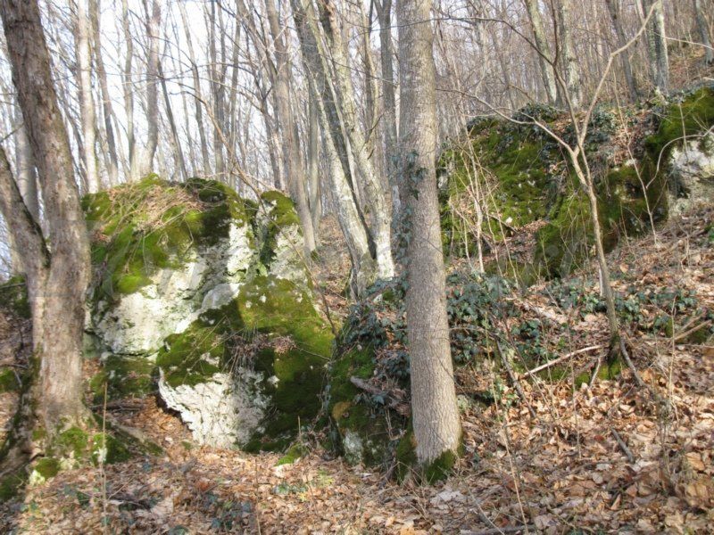 photo watermarked - 1_zpsvdgrdund.jpg
