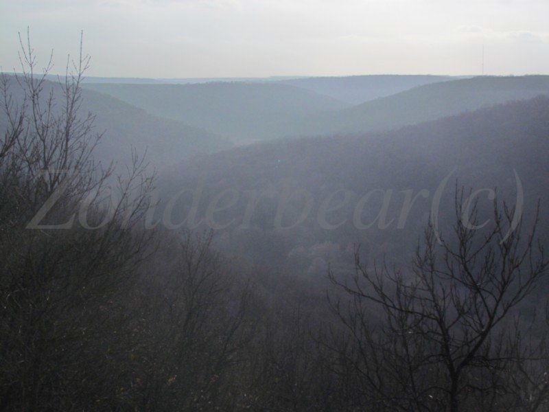 photo watermarked - 21_zps2odwucfq.jpg