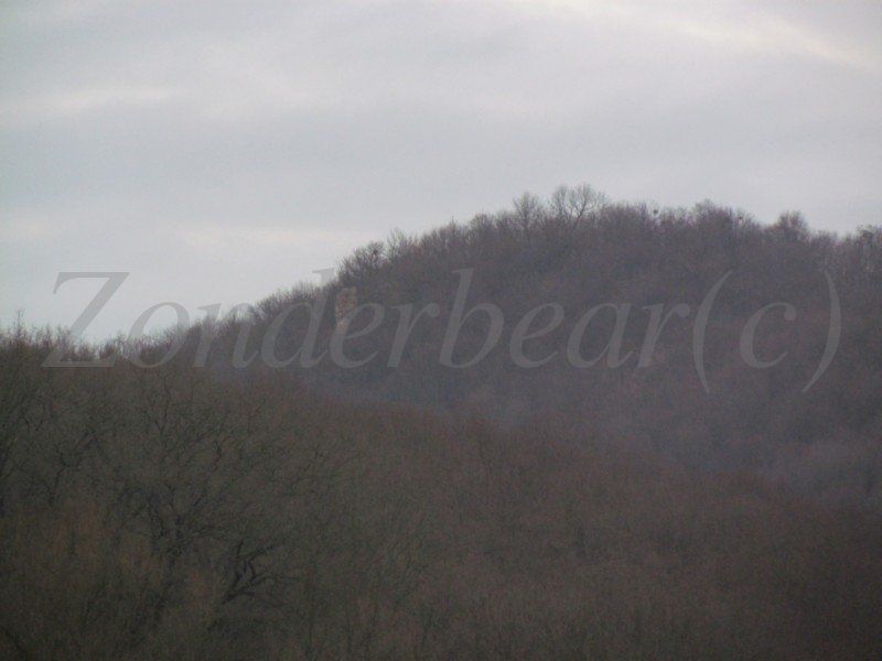 photo watermarked - 26_zps4ttgxmlf.jpg