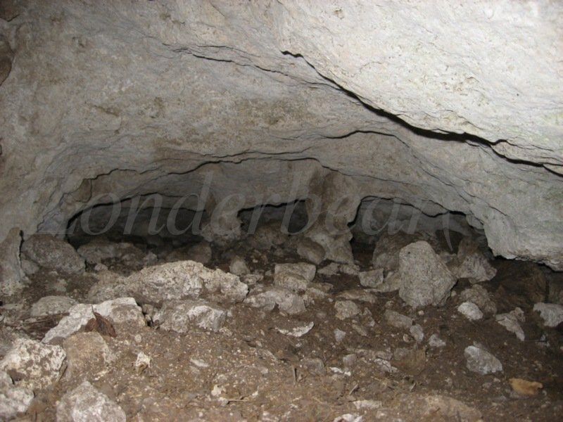 photo watermarked - 8_zps2gve3qn8.jpg