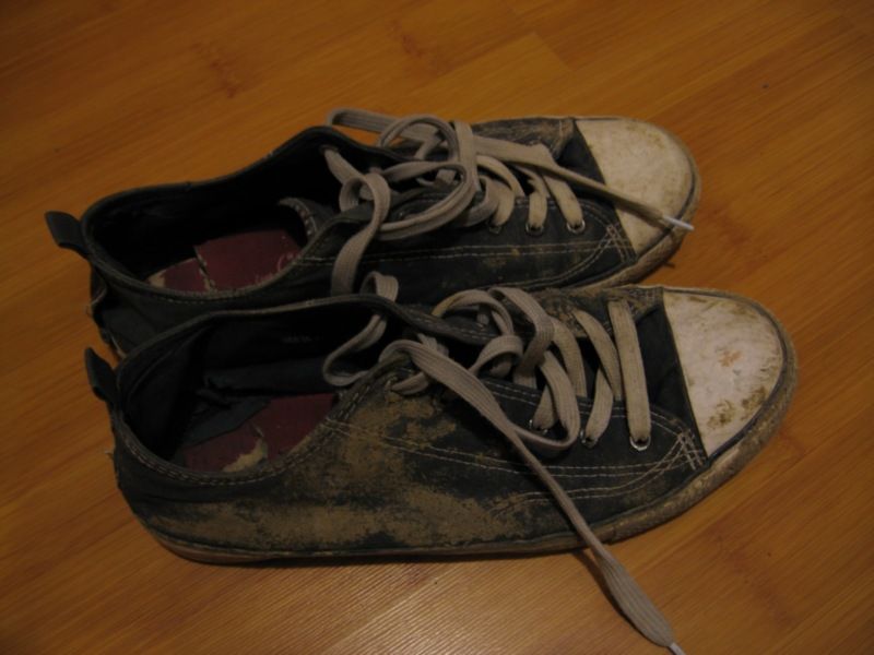 photo 55_zpsbe357757.jpg