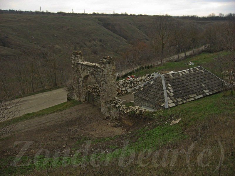 photo 17_zpsuq4lpfzy.jpg
