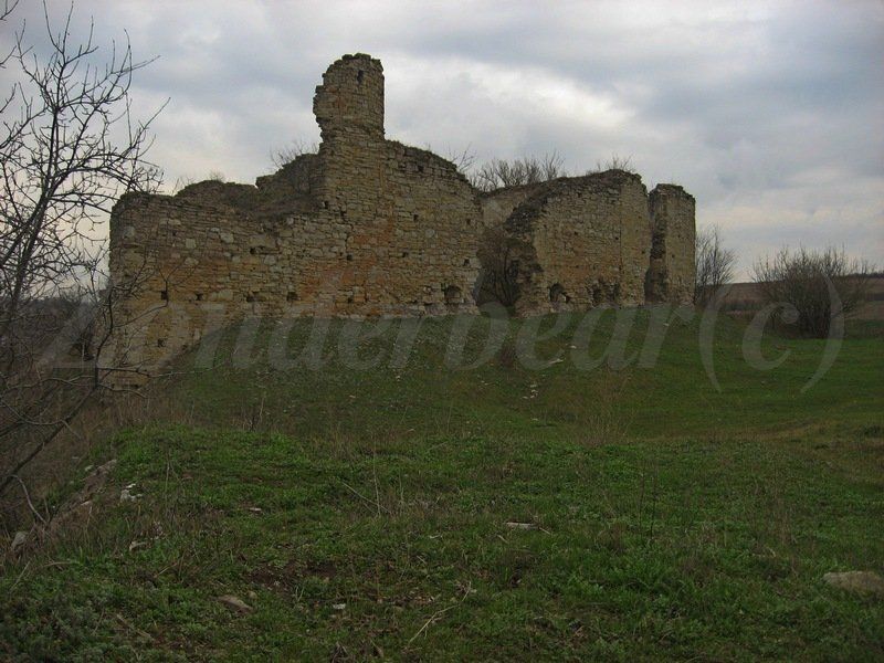 photo 25_zpse8gorw7h.jpg