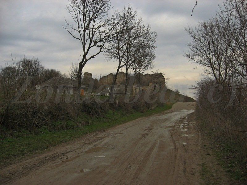 photo 27_zps40vztxvz.jpg