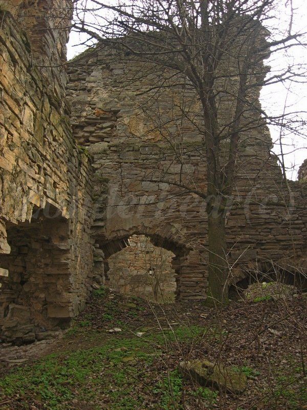 photo 6_zpsozysnnaw.jpg