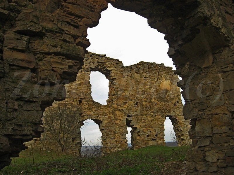 photo 7_zpsqjgdtdsl.jpg