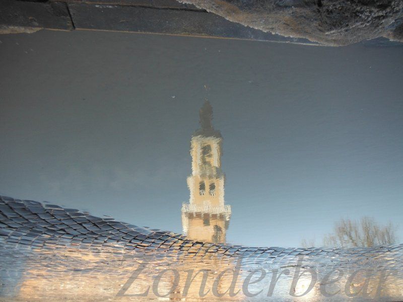 photo 6_zpseq8rgc4v.jpg