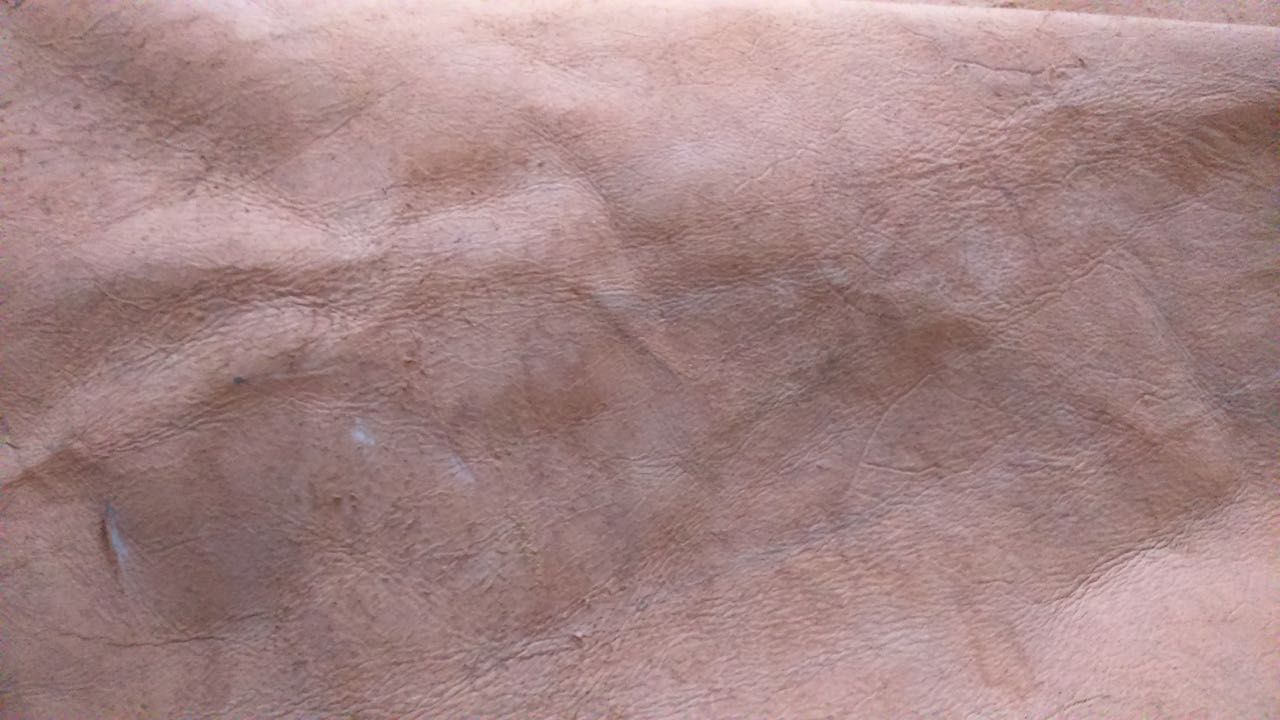  photo DSC_0125_zpswcbcbm6v.jpg