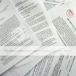 Government issues 15 legal documents in June