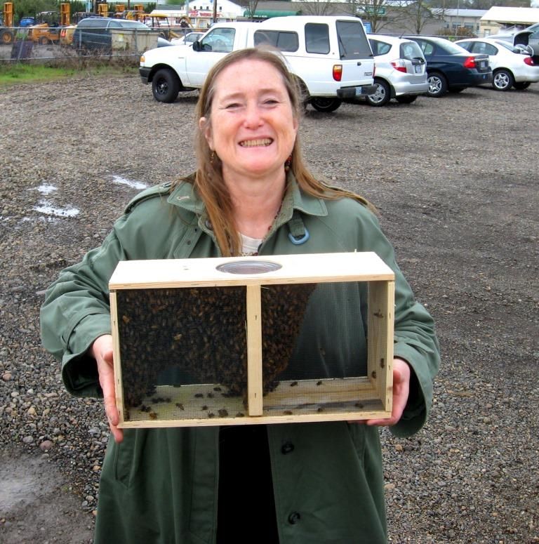 cathy with bees