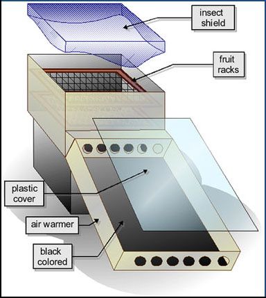 diy dehydrator