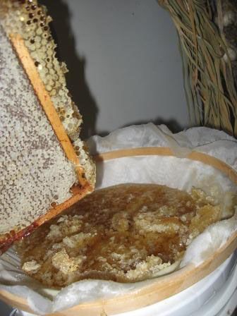 honey in tub